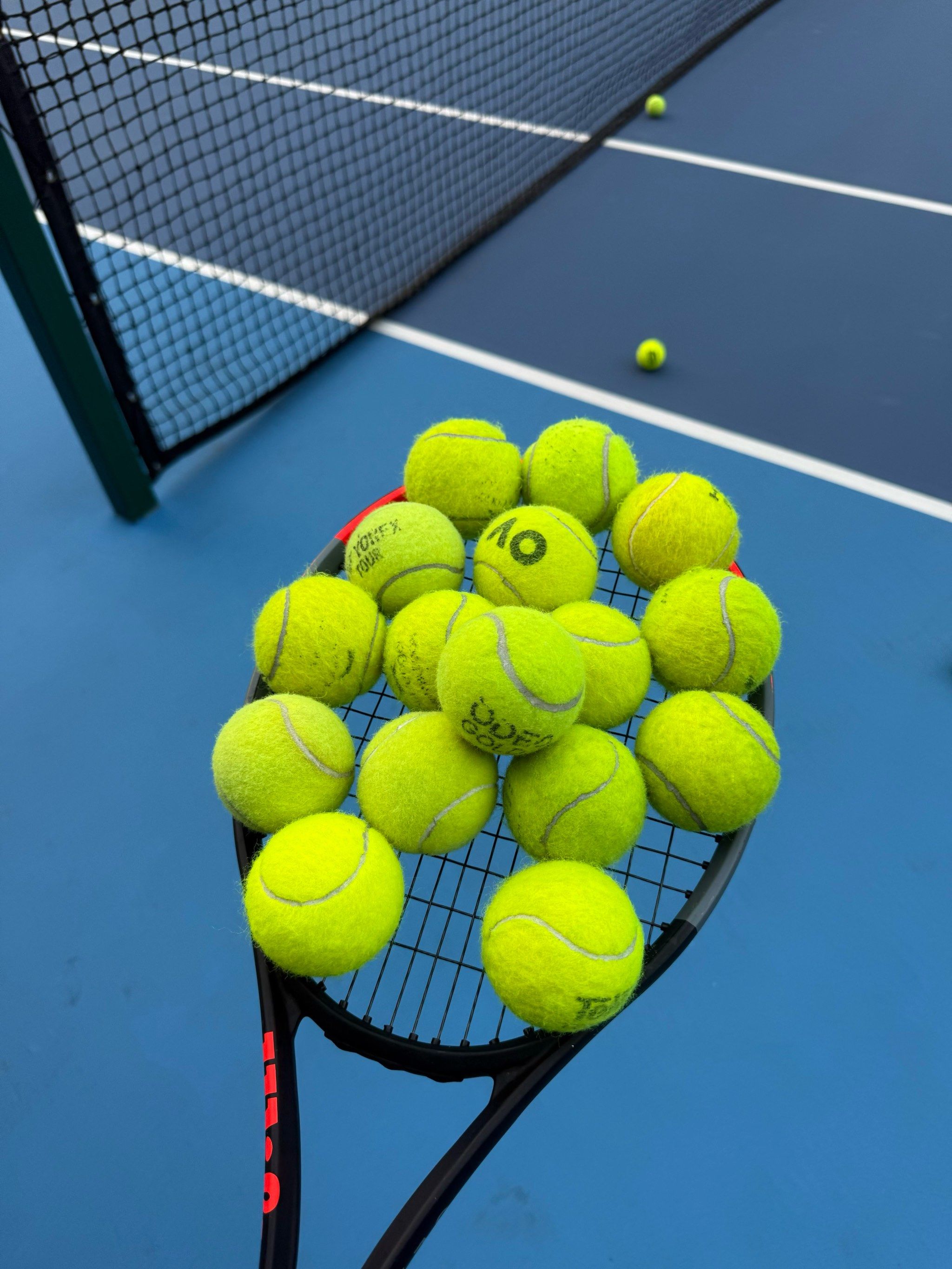 率的根式结 率的根式结